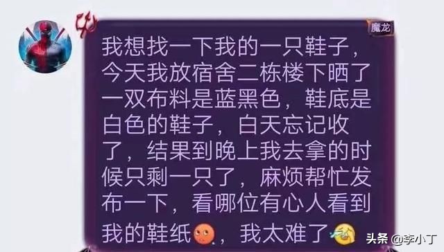 全网通缉的两条狗,全网通缉的狗
