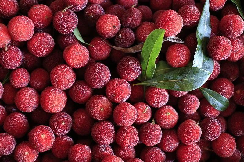 你吃过蘸酱油的杨梅吗,杨梅吃法蘸盐