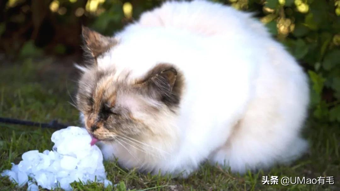 做好这几点远离呼吸道疾病,做好这八点让你轻松管理