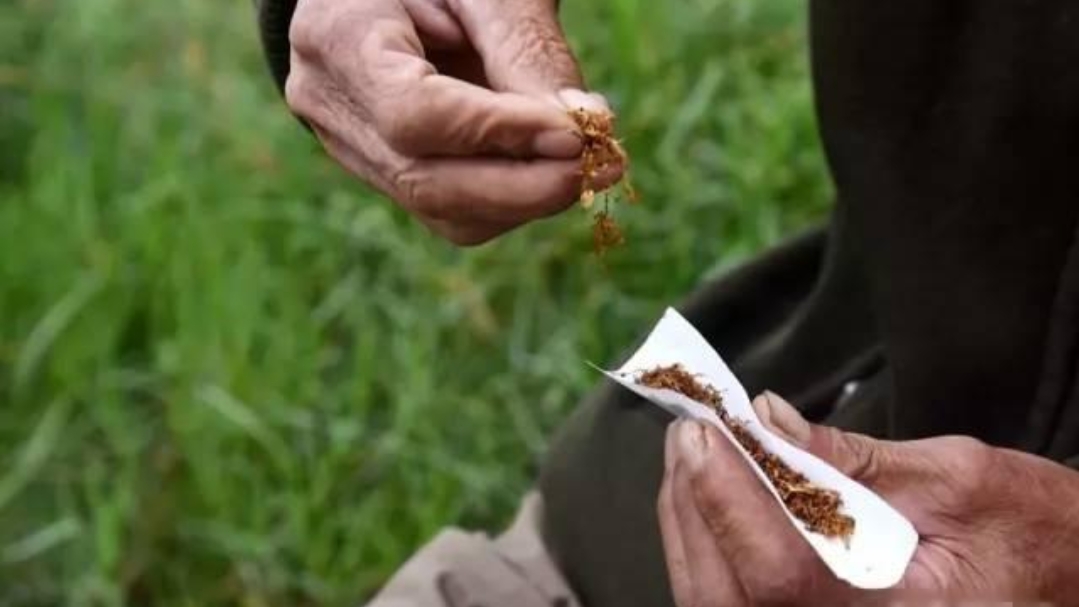 钓鱼知识黑坑配方,黑坑大蒜钓草鱼效果怎么样