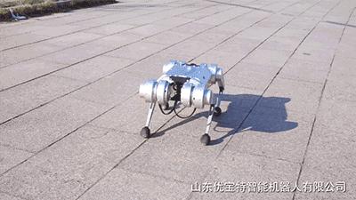 今年最火爆的智能机器狗,最新款智能机器狗推荐