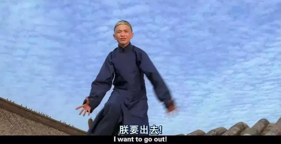 溥仪的一生经典片,溥仪故宫三部曲