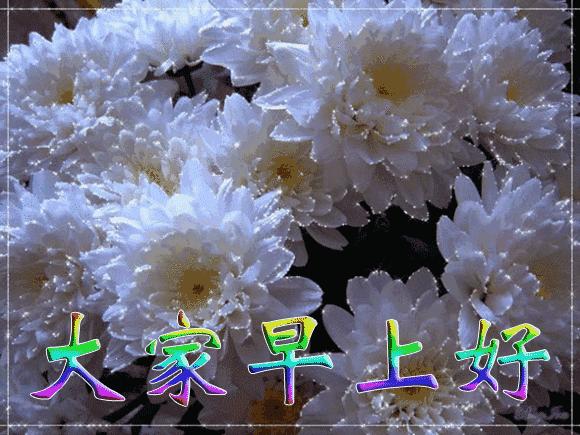 微信动态带字早上问候语图片大全,微信早晨好表情动态祝福语