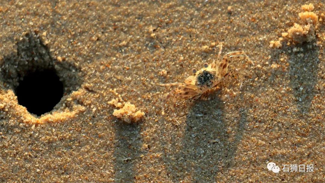 一片美丽的沙滩,石狮最美海滩