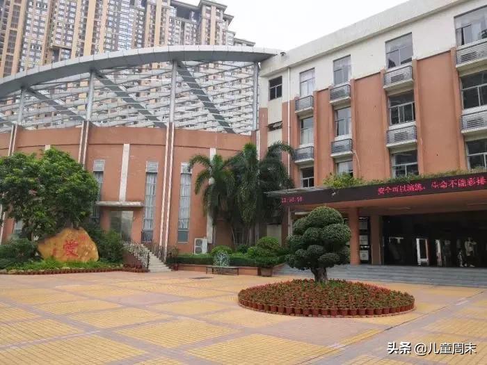 南山蛇口育才一小/二小/三小/四小,哪所更合适你家孩子?