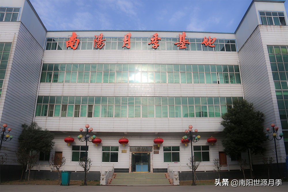 牛气河南,南阳月季基地简介