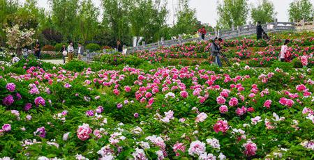 再过半个月，全国人民都将羡慕南阳