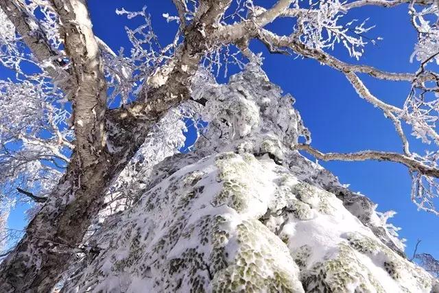 说话的方式简单点——这是wuli大延边的雪景！我是进来看图的！