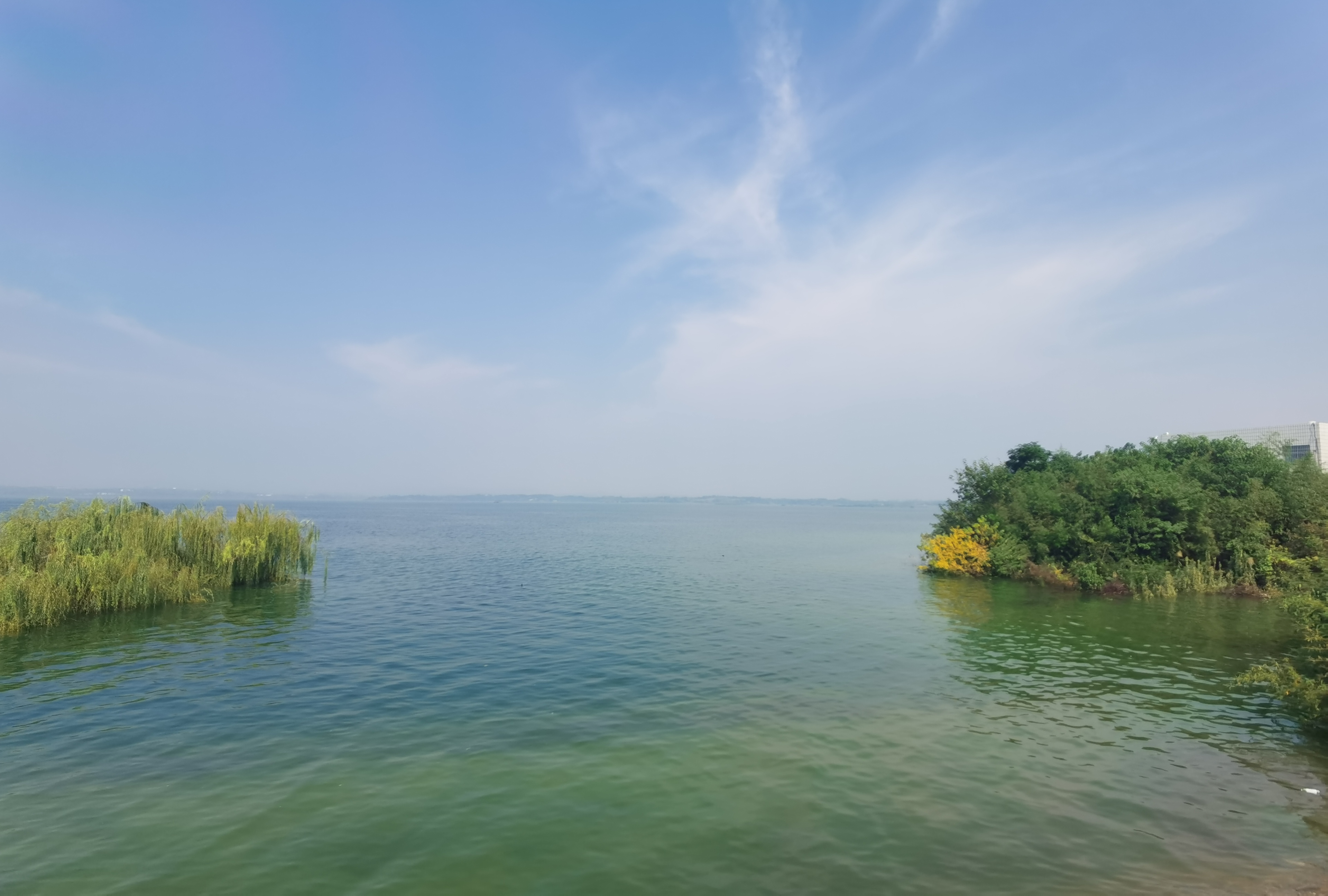 网购正品书,网购书柜