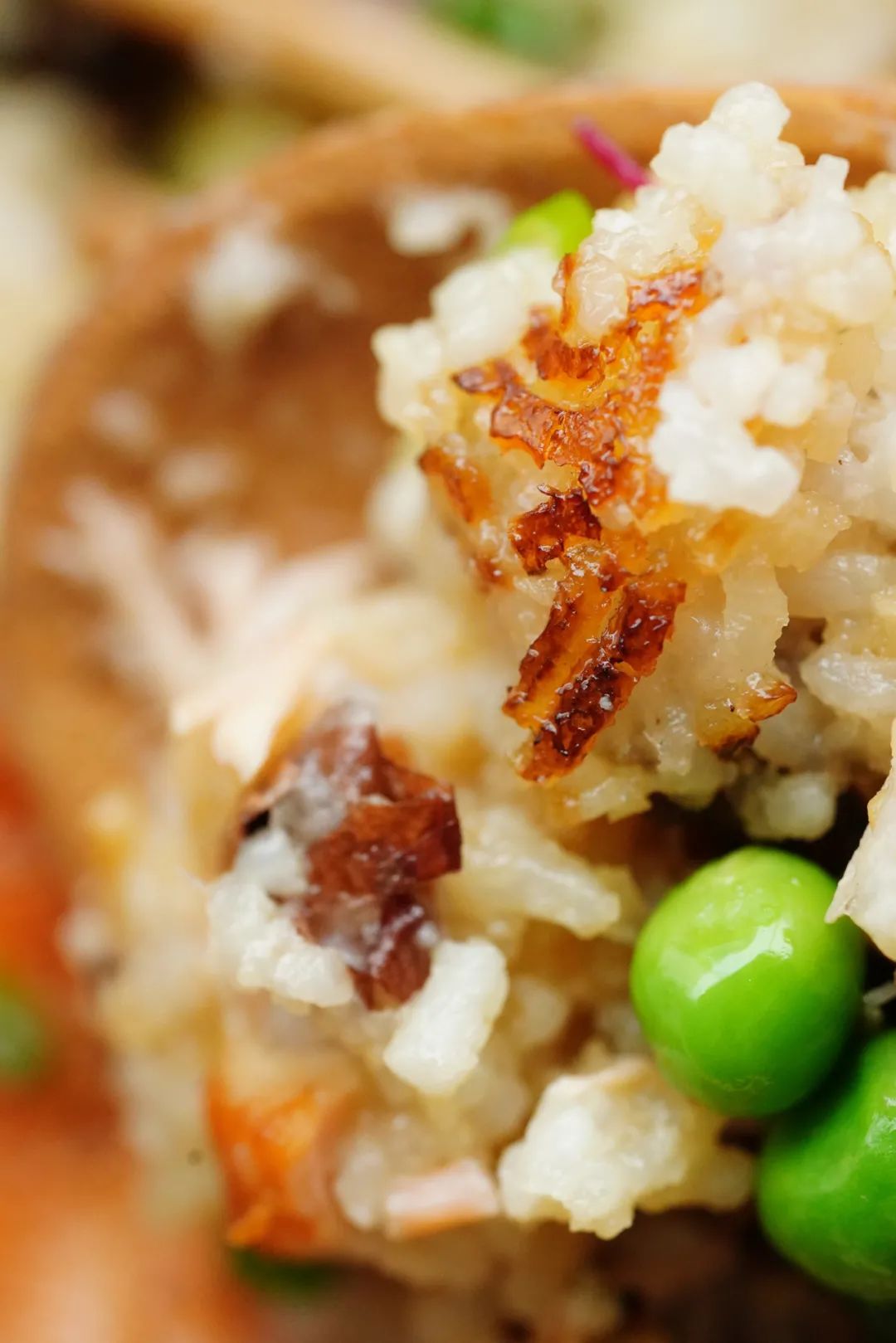 三文鱼煲仔饭怎么样,有人不爱吃孜然吗