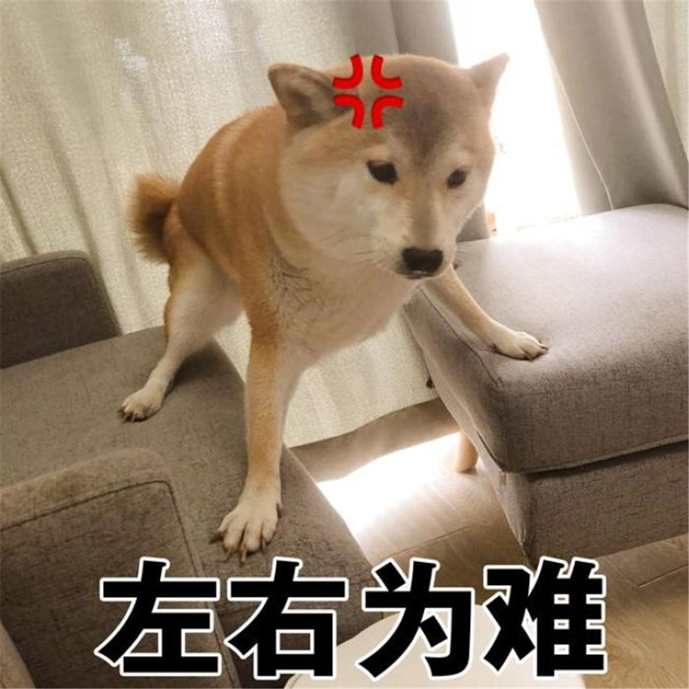 辟谣，山羊奶比牛奶更适合宠物，这一传言背后，其实暗藏风波