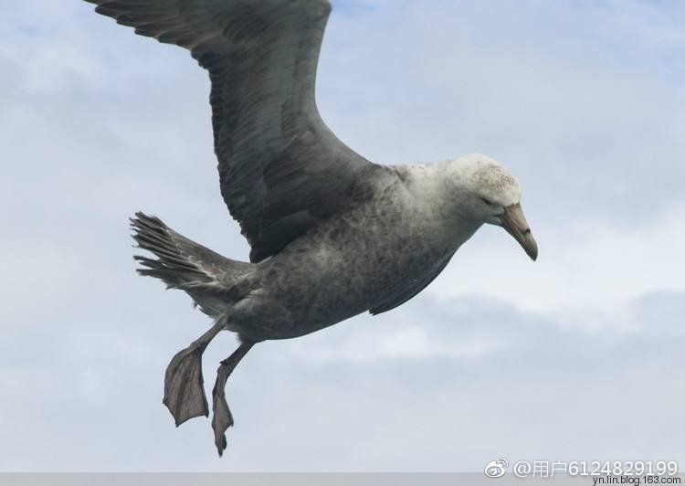 有趣的汉字读音相同,奇妙的汉字多音多义