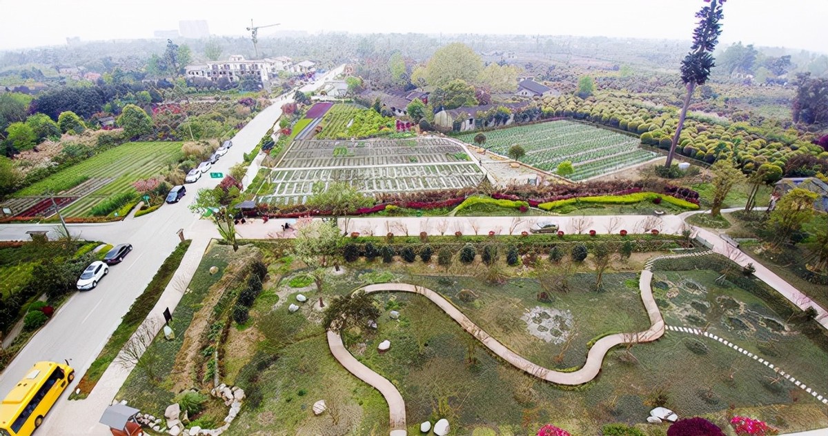 温江的发展现状,现在温江发展的怎么样