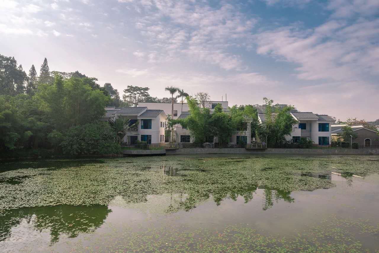 参观华南植物园有什么收获和感想,广州华南植物园赏秋