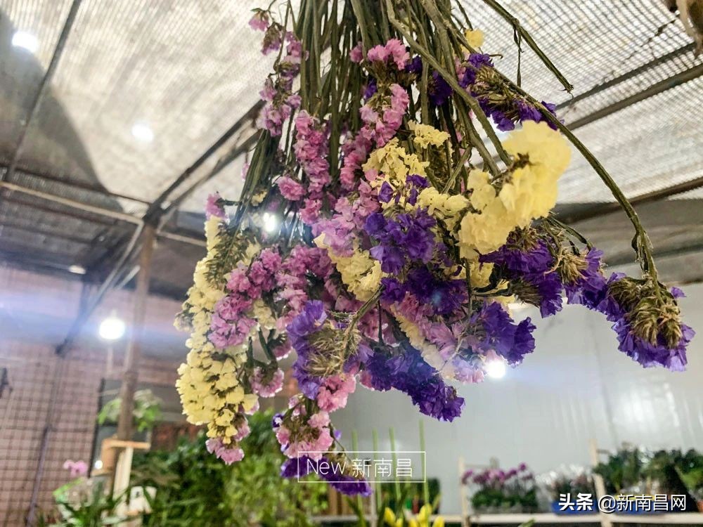南昌花市有哪些地方,南昌花市批发市场