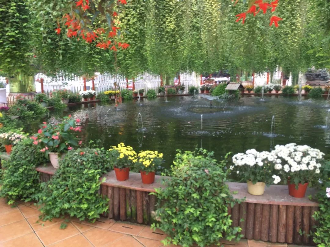 江阴嘉茂国际花鸟园,江阴嘉茂国际花鸟园什么时候再开