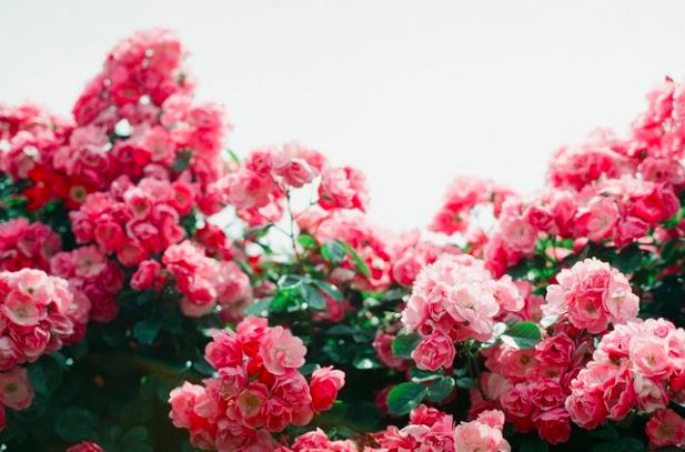 欧阳修十大经典名句,欧阳修最惊艳的词