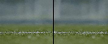 胯下运球教学0基础初学者,运球教学新手小学生