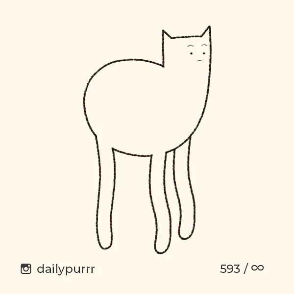 猫是一种液体吗看完长知识了,猫是液体猫咪吗