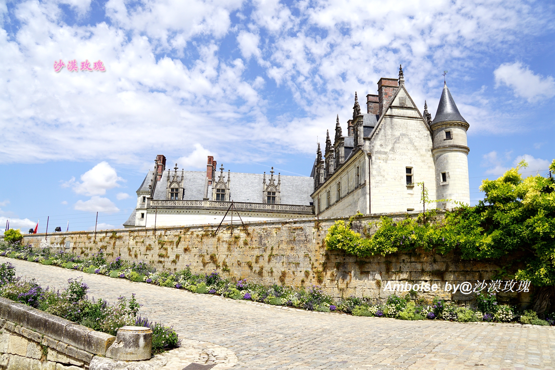 法国卢浮宫纪念达芬奇,达芬奇与法国国王