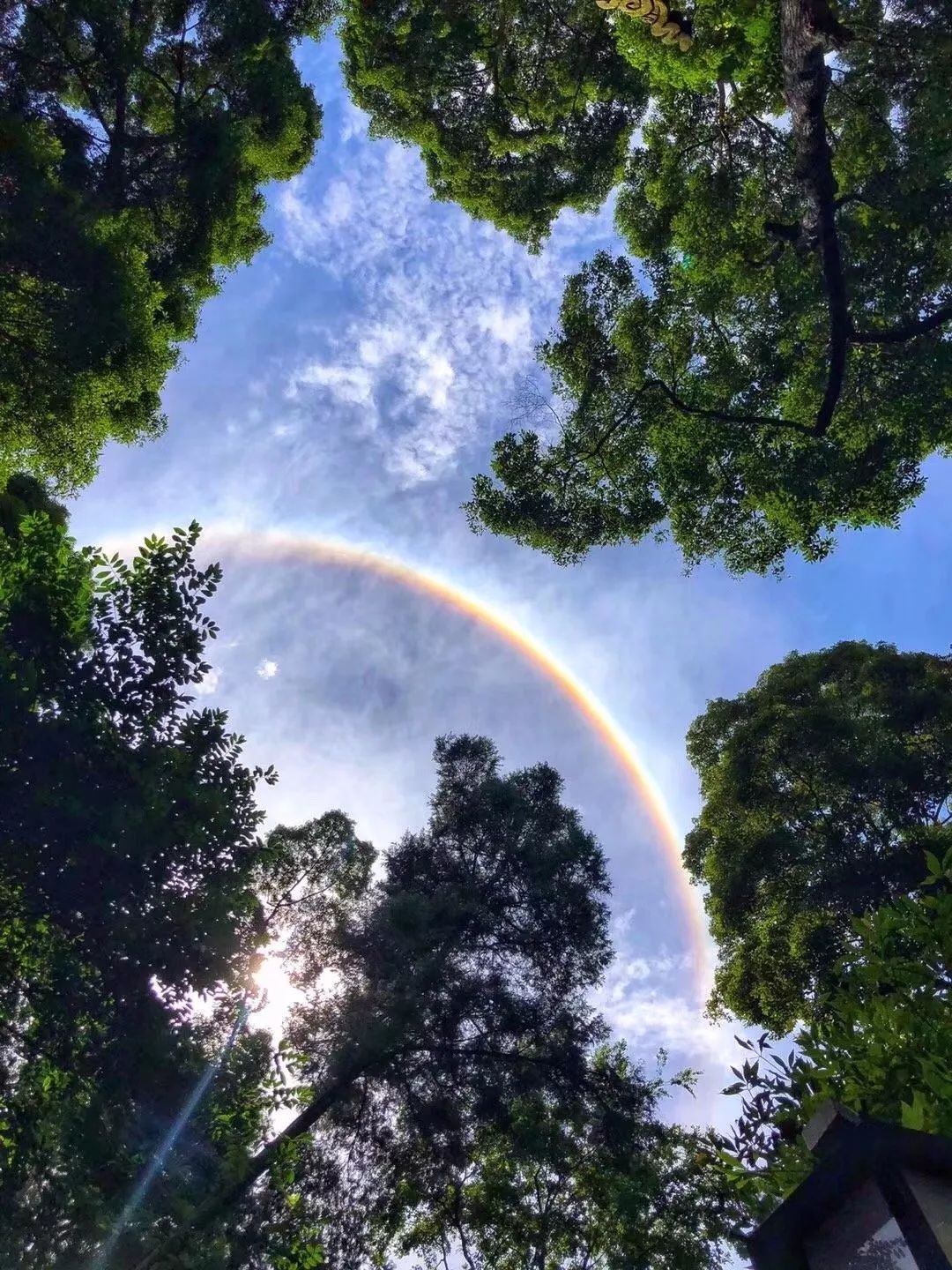 2019年都江堰视频纪录片,2019天府之国都江堰
