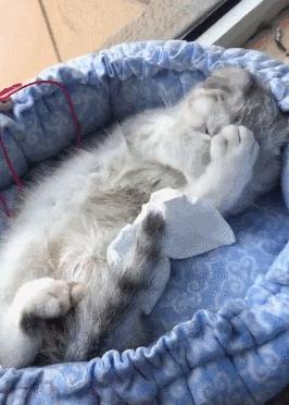 爱我，就给我舔屁股吧