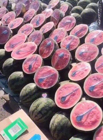 搞笑老鹰捉小鸡图片,搞笑版老鹰抓小鸡视频抖音30秒