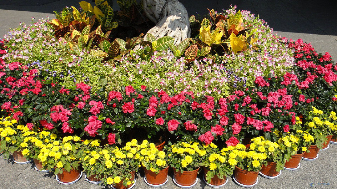 杭州对外开放的图书馆,杭州图书馆主题馆