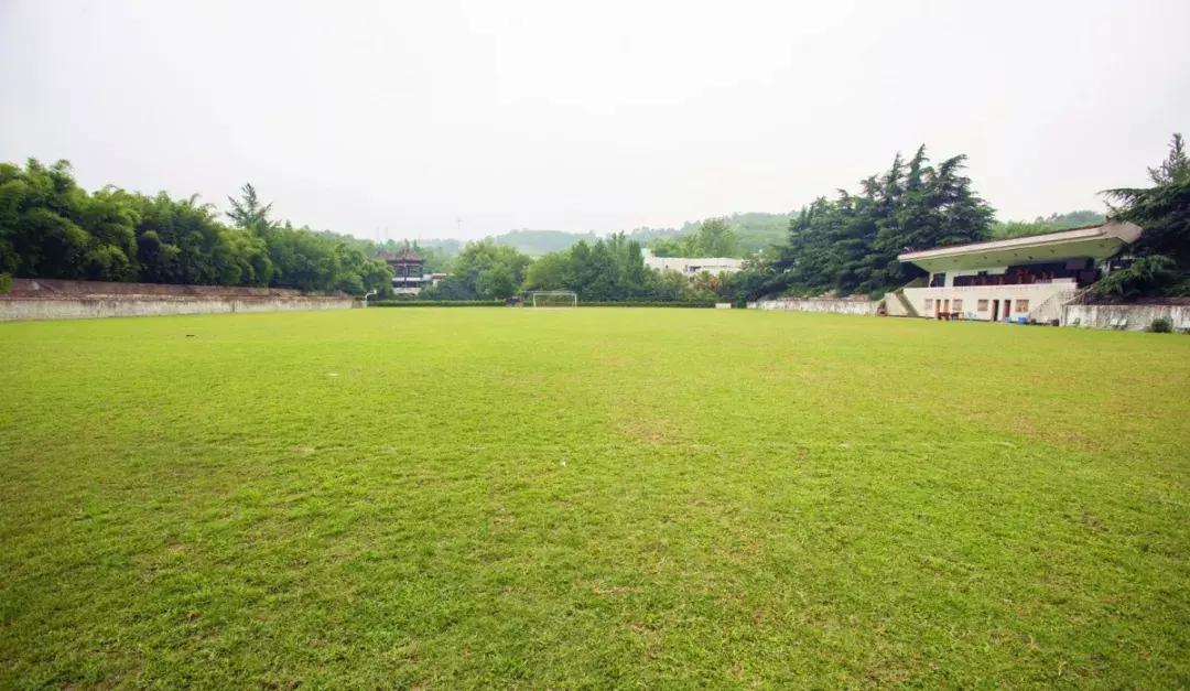 双流竟藏着如此绝美的“秘密公园”，约吗？