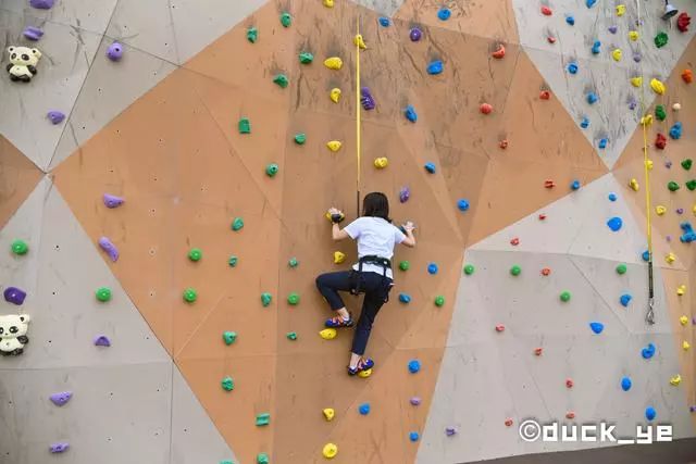 黄晓明皇家加勒比海洋光谱号,海洋光谱号黄晓明杨颖