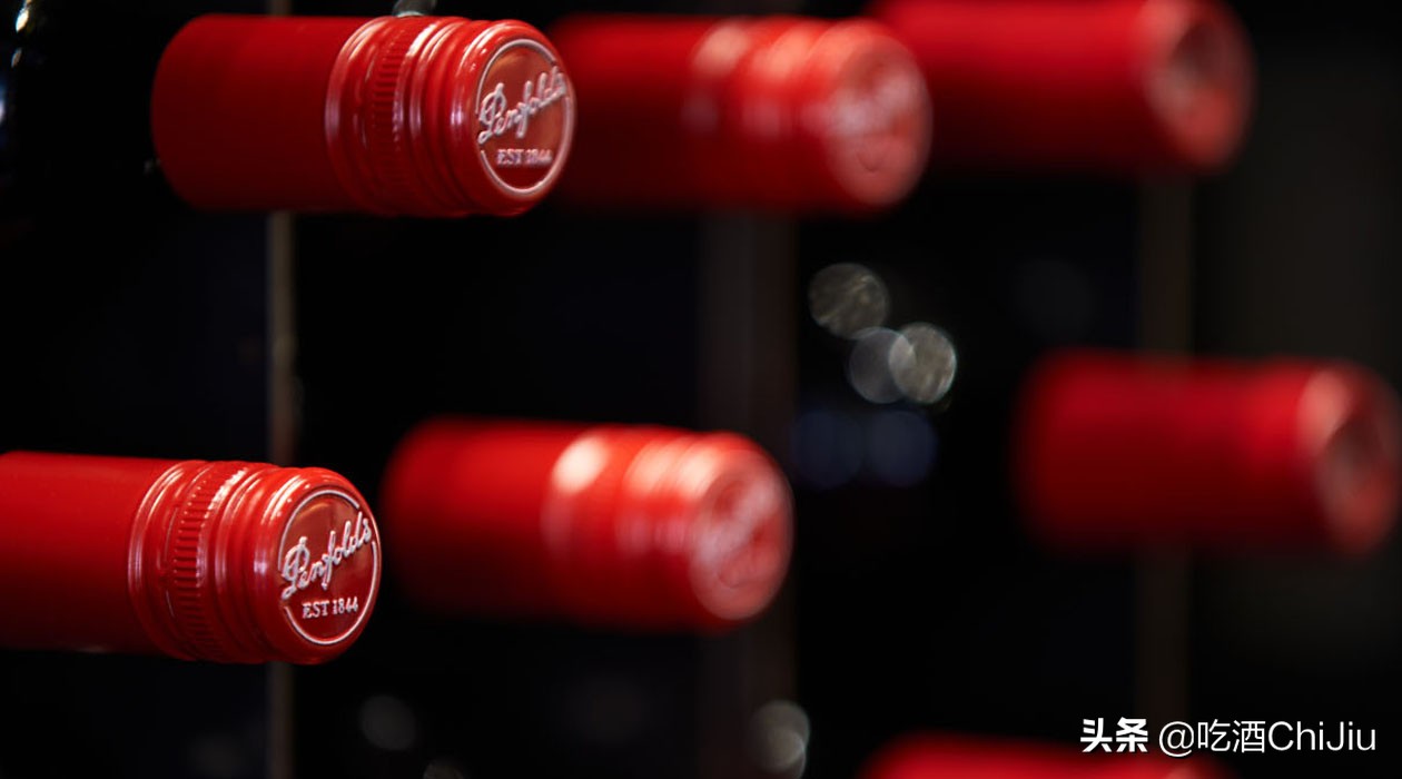 奔富407的喝酒视频,奔富407酒塞什么样