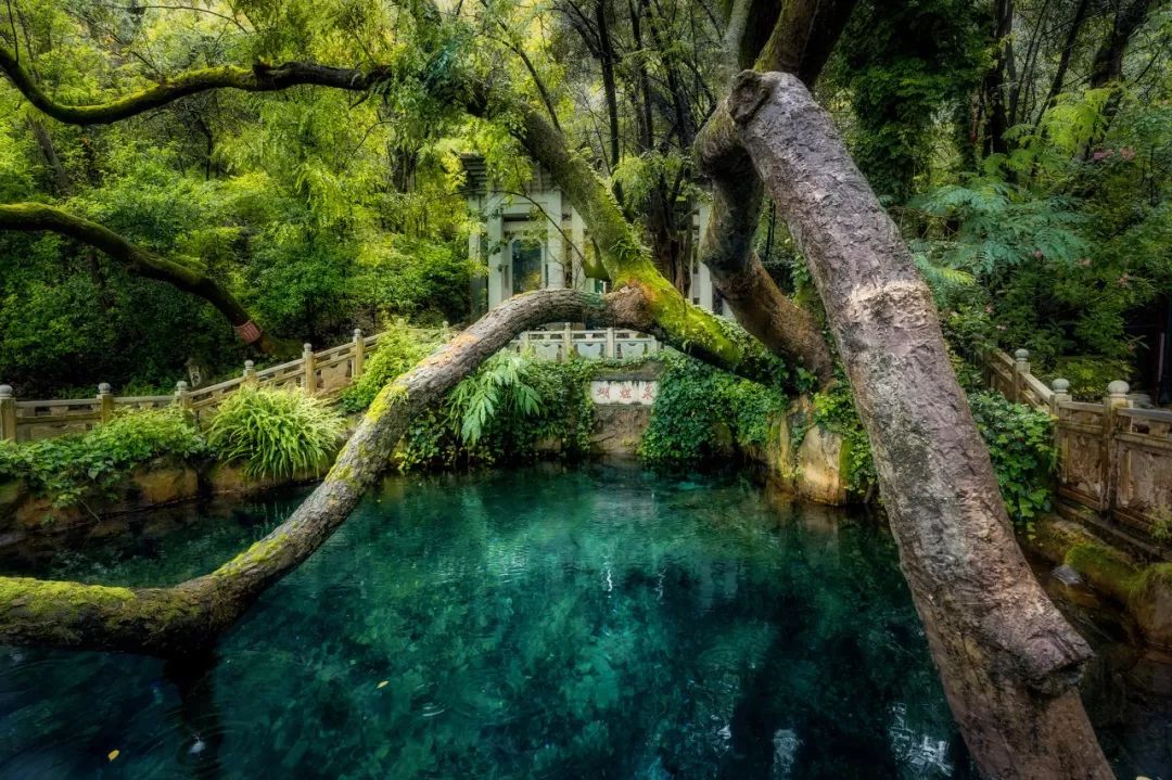 收好这份云南最新5a景区名单,云南的5a级景区有哪些