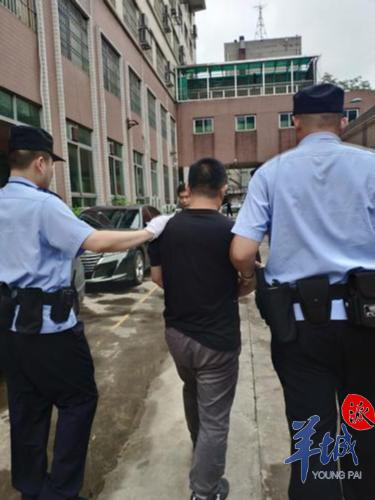 私自撕毁法院公告的法律规定,撕毁法院公告霸占法拍房