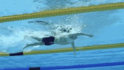 孙杨自由泳打腿教学视频,孙杨自由泳4次腿慢动作回放