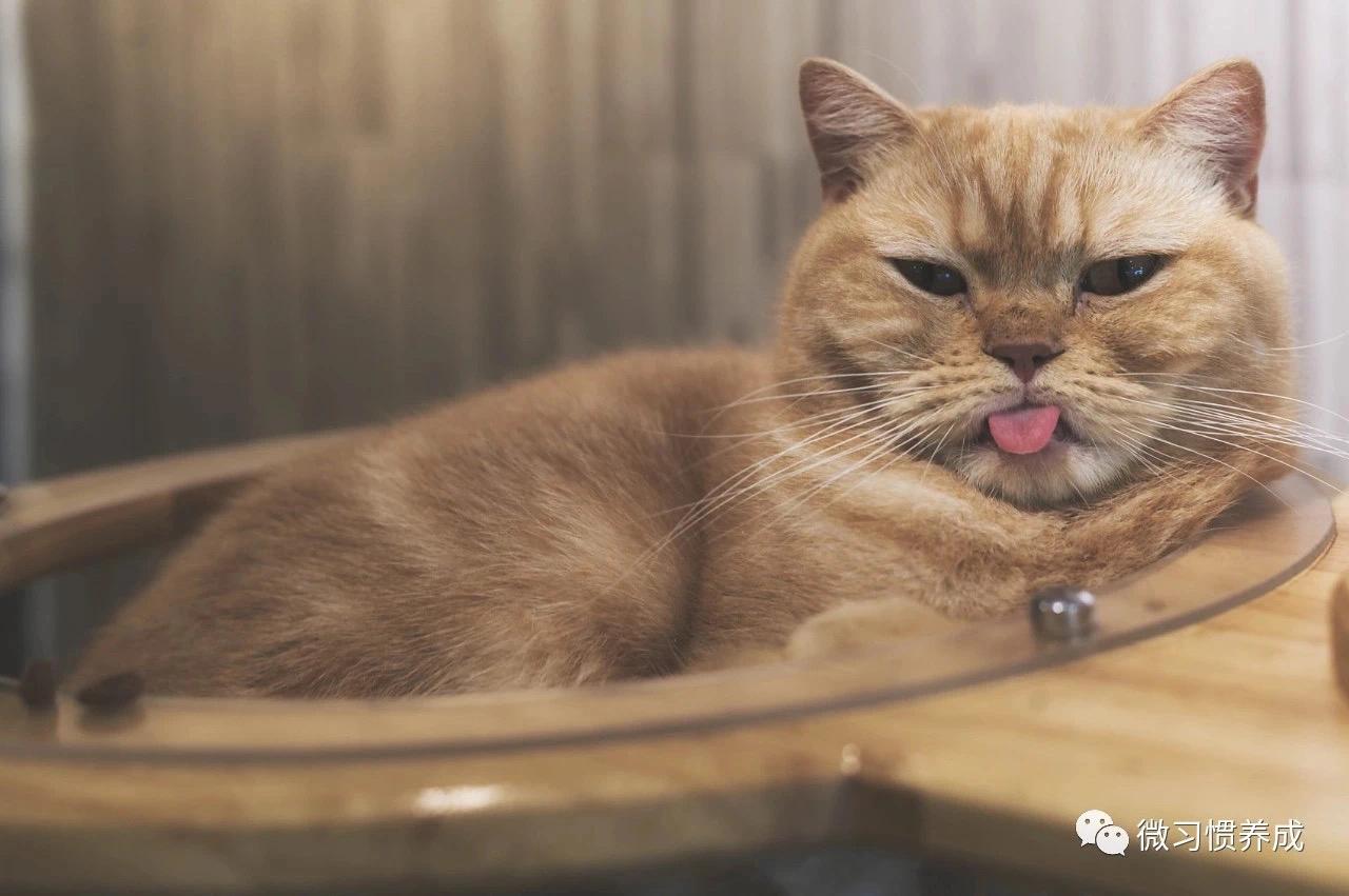 写文章词穷不会表达,写小说词穷怎么解决