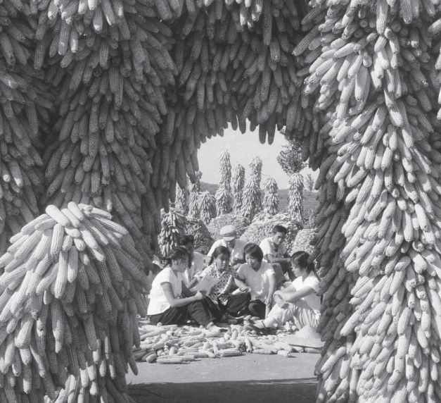 生产队时期和现在相比哪个阶段最好？农村90岁老大爷说出了真心话