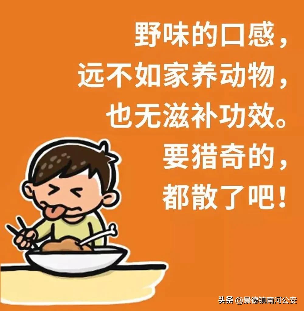 野味都有什么动物,哪些动物属于野味