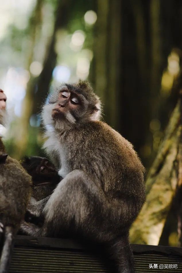 蜜月潜水看海推荐,全球最适合蜜月旅游的海岛
