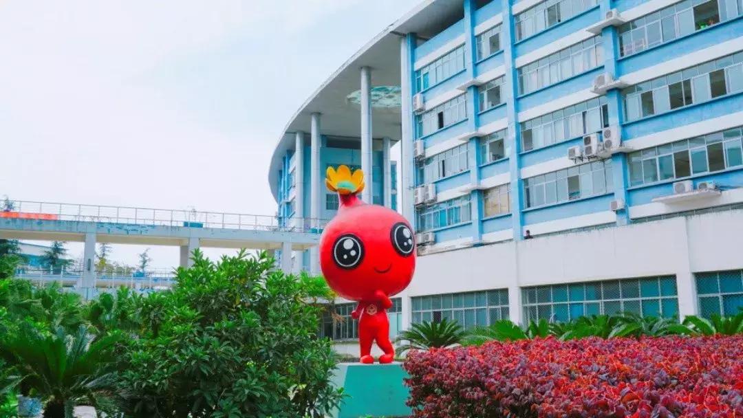 我的青春，叫电子科大成都学院！