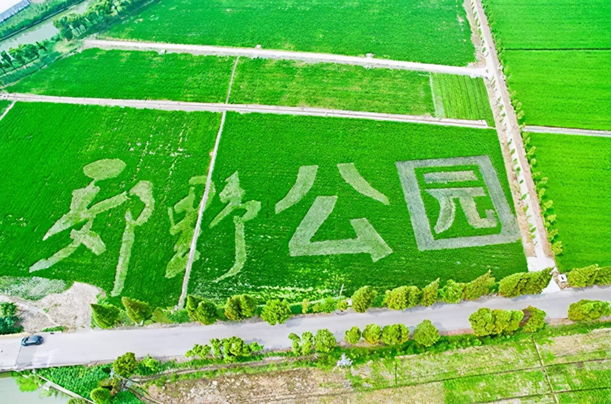 长三角城市群最佳旅游线路,长三角示范区旅游详细攻略