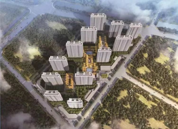 北京东路小学和拉萨路小学,北京东路小学和长江路小学