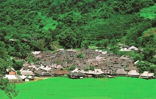 西双版纳热带雨林就是原始森林吗,西双版纳离城区近的原始沟谷雨林