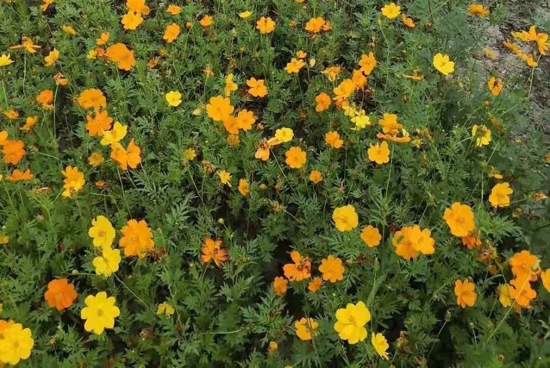 很多时候不知道你有多大能力,如果你有超能力你想要什么能力