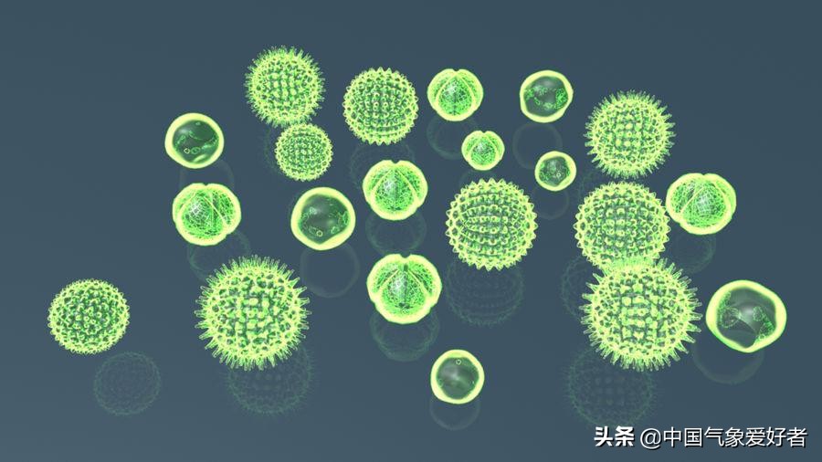 澳洲西部大片海水神秘变绿，太空可见！美国卫星数据揭开谜底