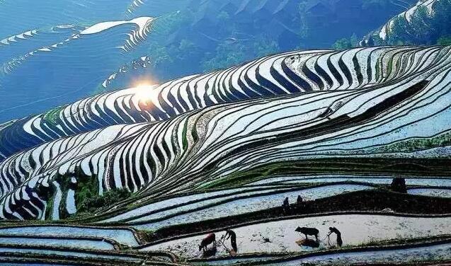 桂林阳朔旅游攻略最新,桂林阳朔旅游美食攻略