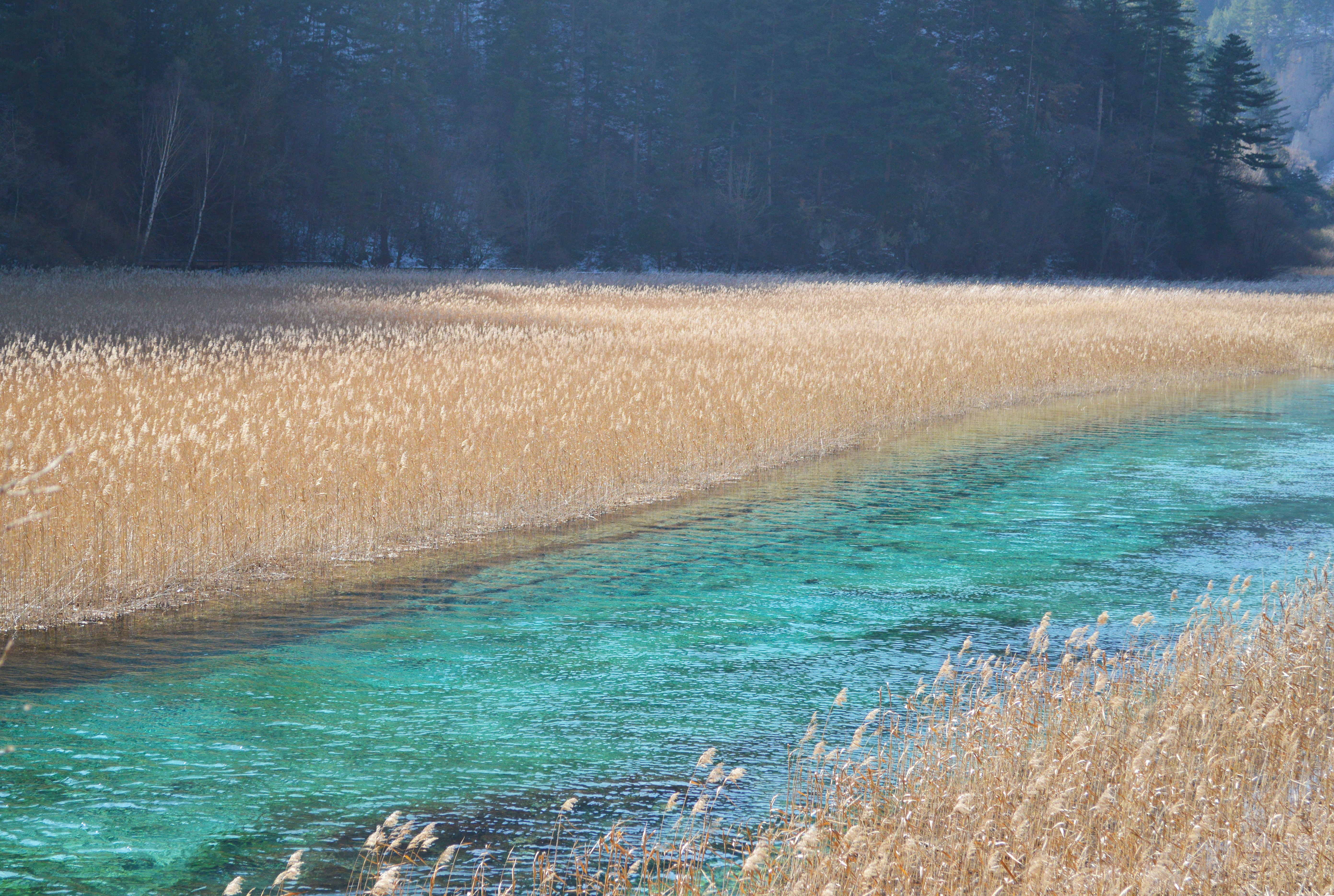 九寨沟震后最美景点开放了吗,九寨沟地震珍贵景点