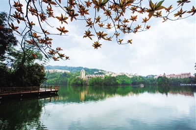 只需10元，两天一夜体验天岛湖，这样的福利你心动了吗？