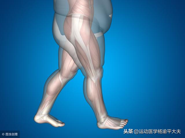 女排荣誉背后：郎平的髌骨被完全摘除！我们该怎么保护髌骨？