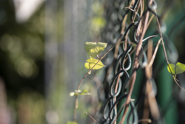 宾得da501.8评测,宾得星头是不是最好