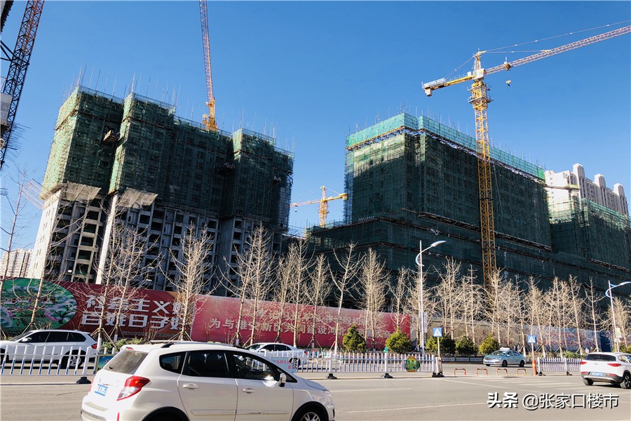 新学校勃勃生机,新学校新环境新起点